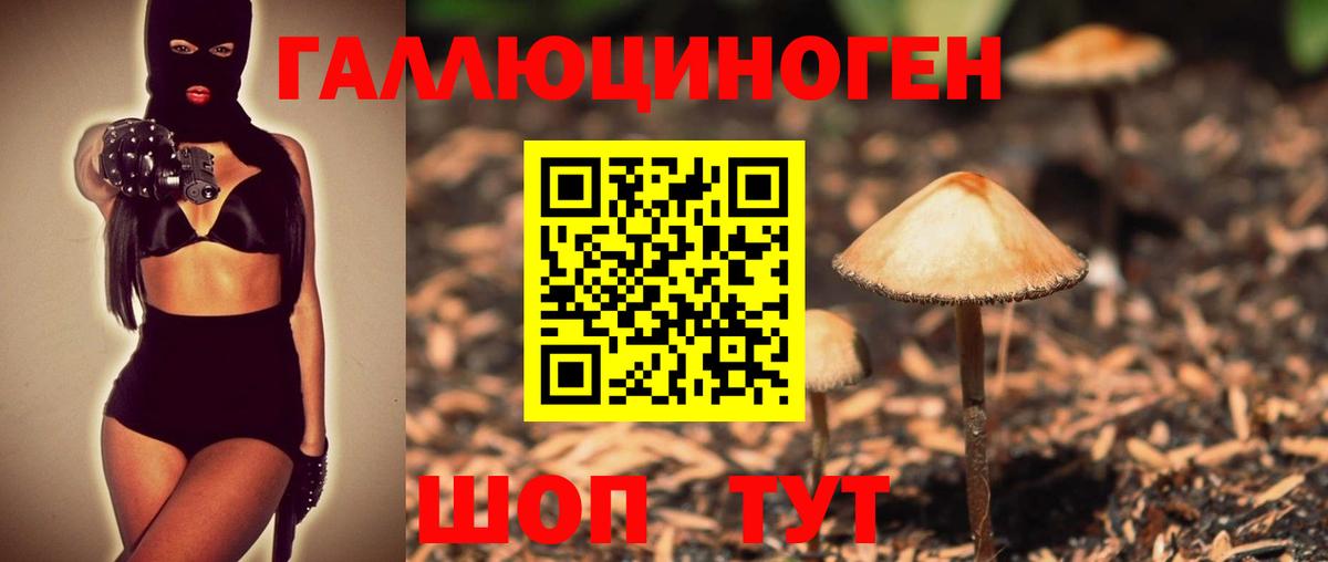 Псилоцибиновые грибы прущие грибы Сафоново